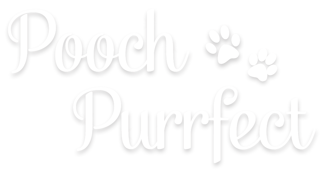 Pooch Purrfect Dog & Cat Grooming Brownhills, Walsall