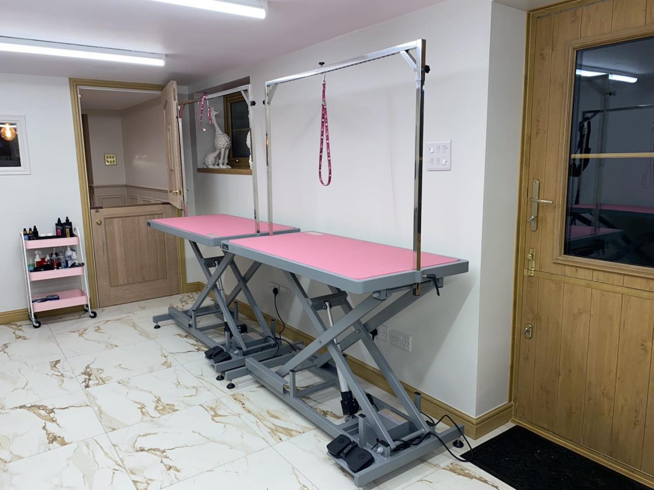 Grooming Courses Pooch Purrfect Dog & Cat Grooming Brownhills, Walsall