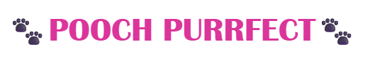Pooch Purrfect Dog & Cat Groomers Shrewbury